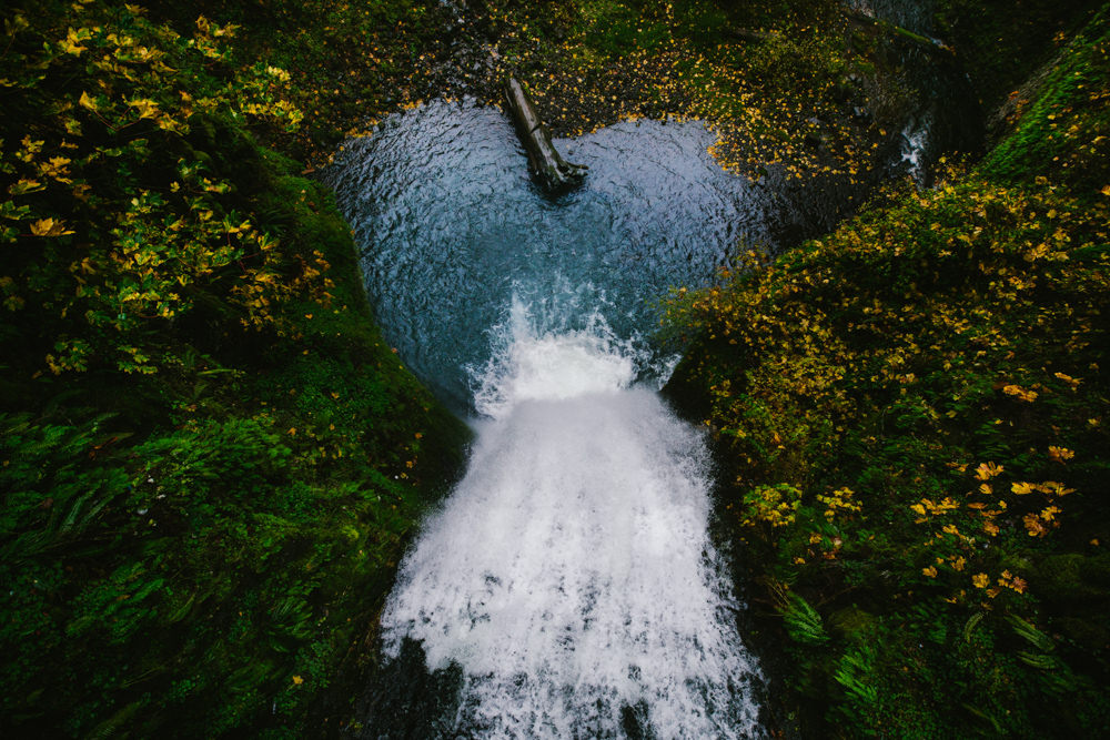 Ely Roberts Photography