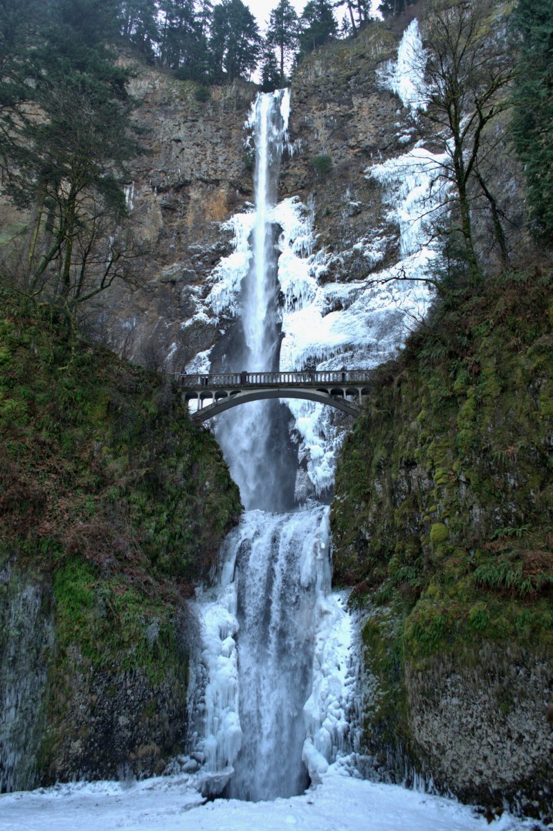 Conscious Engagement