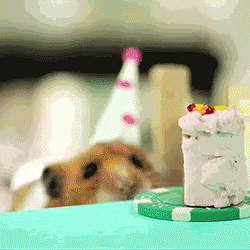 bouwkunst.archidev.info