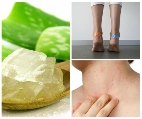 aloeskincarecompany