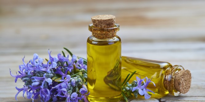 rosemaryoilforhair.net