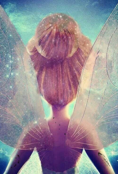 902f9ee4acc7c8627465dd5fd2af0a26