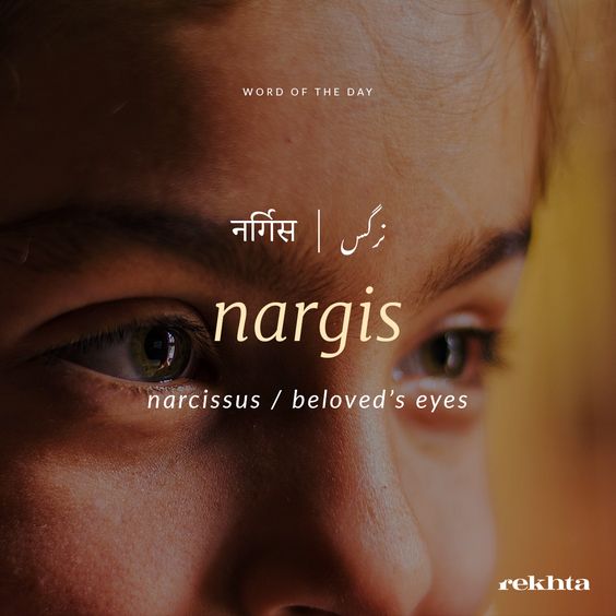 ab2418983efe428a02f88cb7bd9f7846