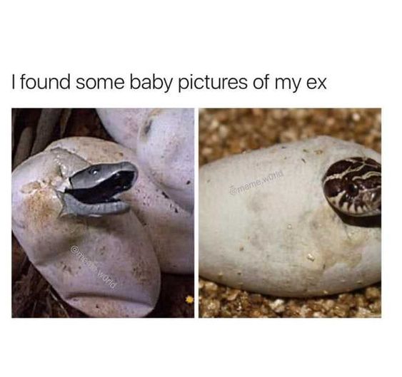 Ex Boyfriend Memes 10 Funny Memes That All Girls Will Relate To Girlstyle India