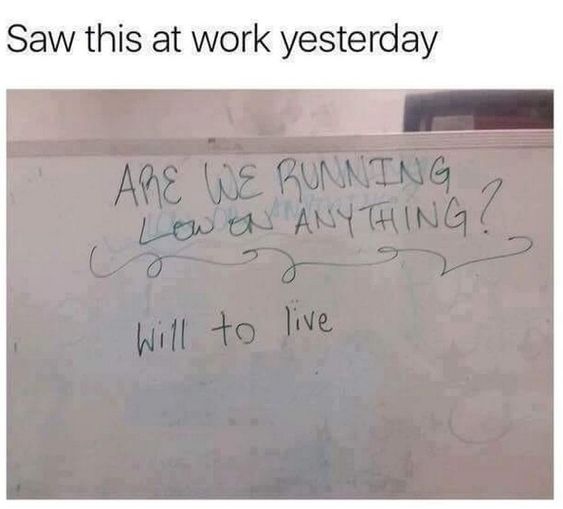 88517516d1a81e48a0a70b3636573fc4