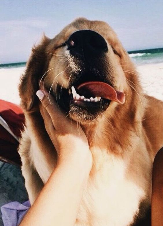 99e6b4a1c6047a82e6c0d090a0fbe661