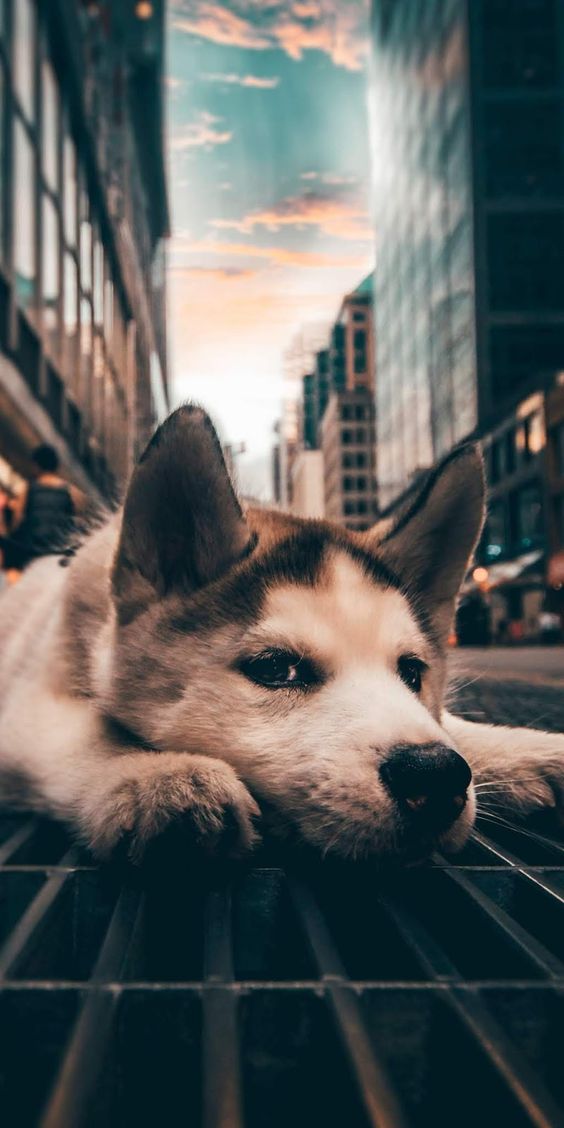 a06d894aee3cb2eb9a0b3ac5d1bd743b