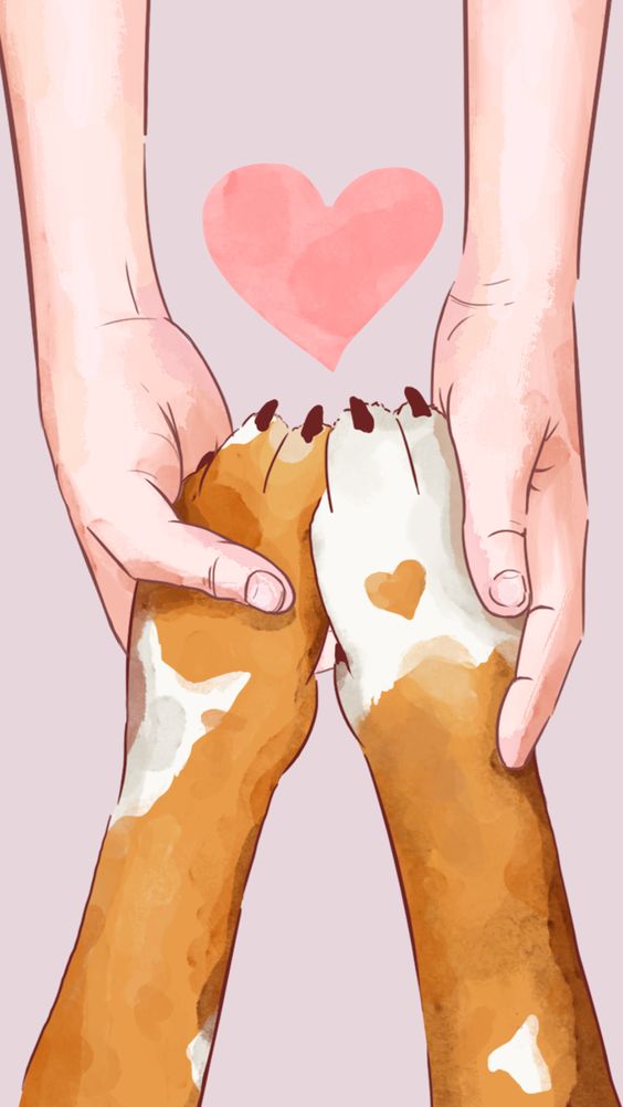 eca593017e82e16ffc887916adcda22e