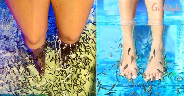 4 Reasons Why You Should Stray Away From "Fish Pedicure"
