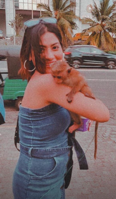 Screenshot 2020-02-06 at 4.12.24 PM