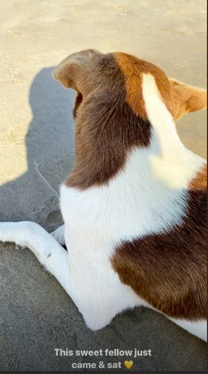 Screenshot 2020-03-12 at 10.15.27 AM