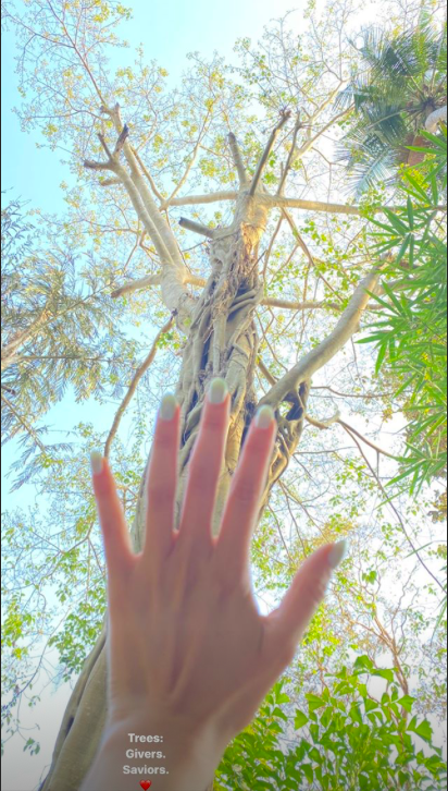 Screenshot 2020-03-12 at 10.15.42 AM