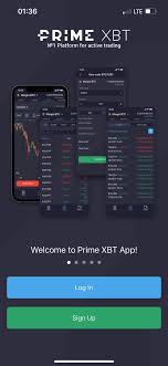 Understanding PrimeXBT Forex Account Types for Traders Understanding PrimeXBT Forex Account Types for Traders
